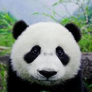 HSunboy的个人资料头像