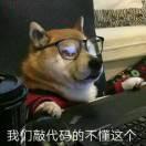 田九的个人资料头像