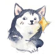 WenBo丨星空灬的个人资料头像