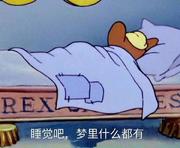 睡觉吧_梦里啥都有的个人资料头像