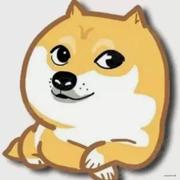 陈不懂的个人资料头像