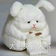 u675c的个人资料头像
