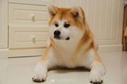冬天一起吃雪糕CR的个人资料头像