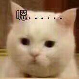 滑稽诺夫的个人资料头像
