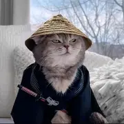 天齐思密达的个人资料头像