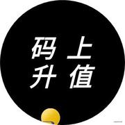 码上升值的个人资料头像